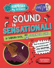 Surprised By Science: Sound Is Sensational!