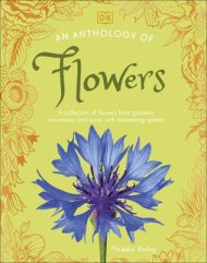 Anthology Of Flowers