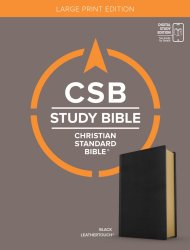 CSB Study Bible, Large Print, Digital Study Edition, Black Leathertouch