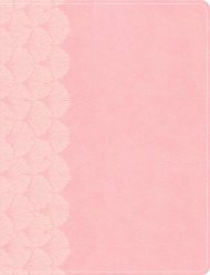 KJV Notetaking Bible, Large Print Edition, Soft Pink