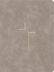 The Jesus Bible, ESV Edition, Leathersoft, Stone