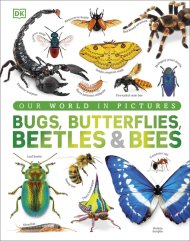 Our World In Pictures Bugs, Butterflies, Beetles And Bees