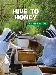 Hive To Honey