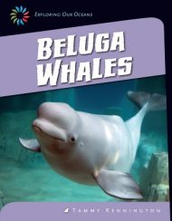 Beluga Whales