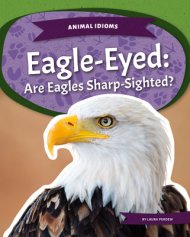 Eagle-eyed: Are Eagles Sharp-sighted?