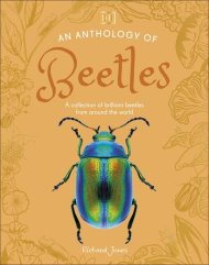Anthology Of Beetles