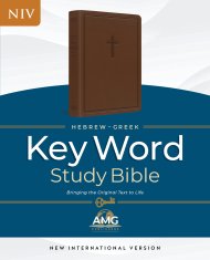Hebrew-Greek Key Word Study Bible, Brown Leather