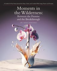 Moments in the Wilderness: Between the Promise and the Breakthrough: A Guided 30-Day Prayer Journal for Hope, Clarity and Comfort   With Songs, Prayer