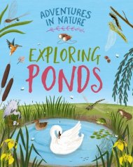 Adventures In Nature: Exploring Ponds
