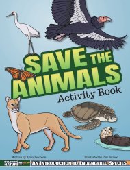 Save The Animals Activity Book