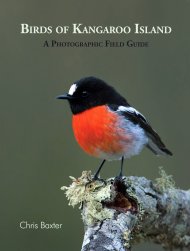 Birds of Kangaroo Island