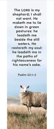 23rd Psalm Bookmark (pack of 25)