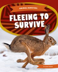 Fleeing To Survive