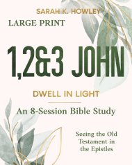 1,2&3 John: Dwell in Light (Large Print)