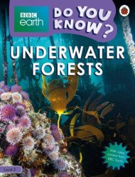 Do You Know? Level 3 – Bbc Earth Underwater Forests