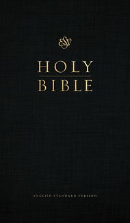 ESV Church Bible (Hardcover, Black)