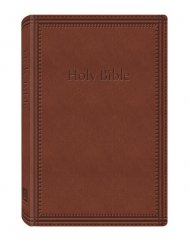 KJV Deluxe Gift & Award Bible: Brown, Imitation Leather