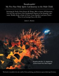 Breadcrumbs!: My Five-Year Holy Spirit-Led Journey to the Male Child.