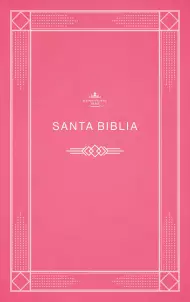 RVR 1960 Biblia económica de evangelismo, rosa, tapa rústica, paquete de 20