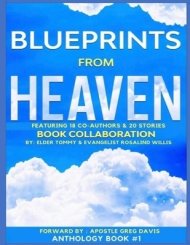 Blueprints from Heaven Featuring 18 Co-Authors & 20 Stories: Book Collaboration