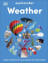 Eyewonder Weather