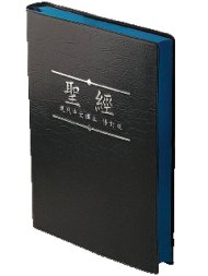 Today's Chinese Version Revised Edit Chinese Union Standard Bible