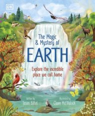 Magic And Mystery Of Earth