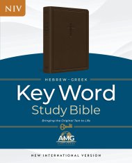 Hebrew-Greek Key Word Study Bible, Brown Goatskin Leather