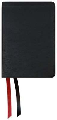 NASB 2020 Large Print Personal Size Bible, Black