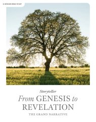 Storyteller: From Genesis to Revelation Bible Study Book