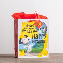 Gift Bag-Specialty-Peanuts Birthday-Ecc. 11:9-Large (DS#30402