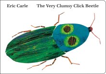 Very Clumsy Click Beetle