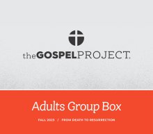 The Gospel Project for Adults: Adult Group Box CSB - Fall 2023