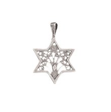 Necklace-Star Of David/Tree Of Life (Sterling Silver)-20" Chain (#9517)
