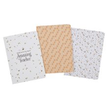 Notebook Set-Large-Amazing Teacher (Set of 3)