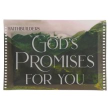 Faithbuilder Cards-God's Promises For You (Pack of 20)