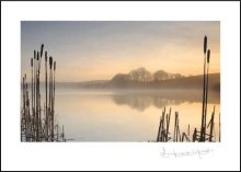 Tamar Lake