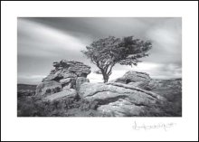 Saddletor