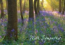With Sympathy - May it comfort you to know...