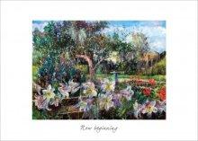 New Beginnings(Anne Rea)