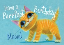 Purrfect Birthday - Cat Std CardGloss (6 Pack)