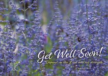 Get Well Soon - Lavender Std Card Gloss (6 Pack)