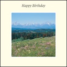Happy Birthday ****