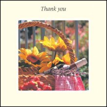Thank You ****