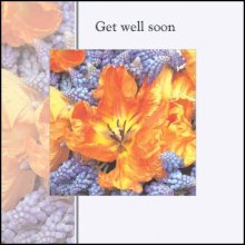 Get Well Soon ****