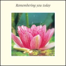 Remembering You Today ****