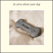So Sorry About Your Dog ****