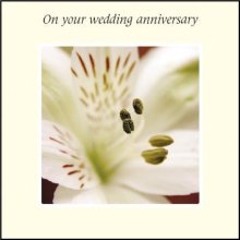 On Your Wedding Anniversary ****