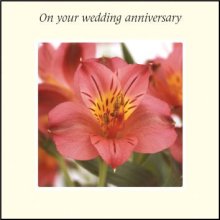 On Your Wedding Anniversary ****