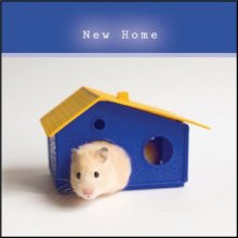 New Home ****